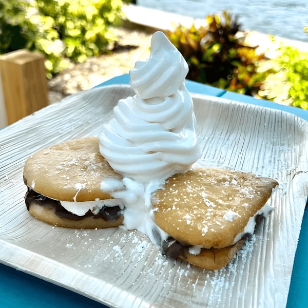 Two s'mores sandwiches with melted chocolate and marshmallow, topped with soft-serve ice cream on a plate.